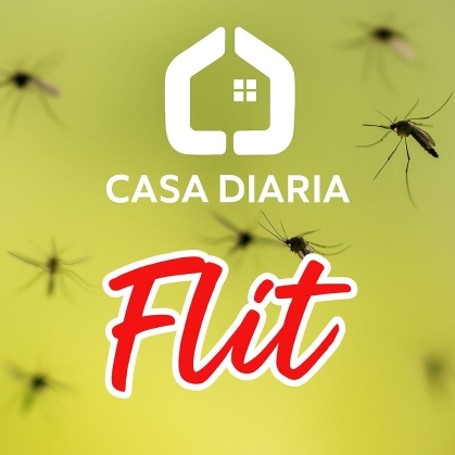 FLIT X LITRO