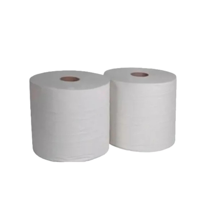 BOBINA LIMPIEZA ECO D/H 2 X 24 CM X 400 MT