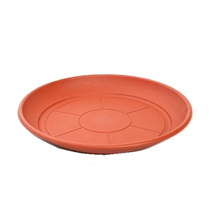 PLATO MACETA N� 20