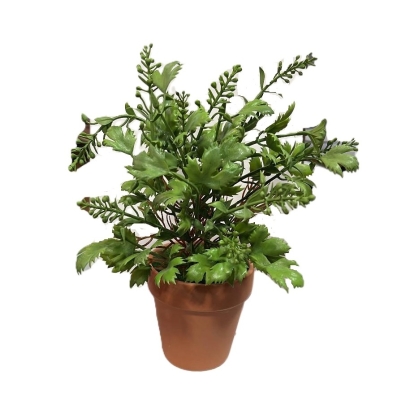 PLANTA VERDE MACETA CEMENTO REDONDA 1