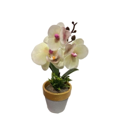 PLANTA FLOR MACETA CEMENTO REDONDA 2