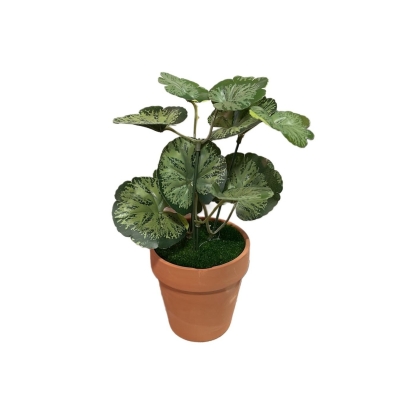 PLANTA VERDE MACETA CEMENTO REDONDA 2