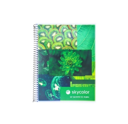 CUADERNO UNIVERSITARIO RAYA 22 X 29.7 57 GR