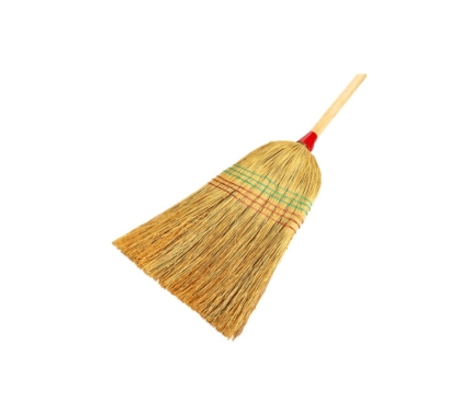 ESCOBA GUINEA COMUN