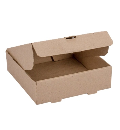 CAJA HAMB Y PAPA 010 25 X 13.5 X 6 CM X UNIDAD