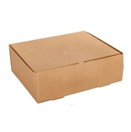 CAJA MICROC DELIVERY 035 32 X 32 X 10 CM X UNIDA