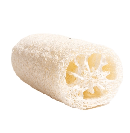 ESPONJA VEGETAL CHICA