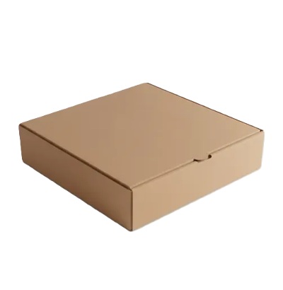 CAJA MICROC DELIVERY 014 25 X 18 X 7 CM X UNI